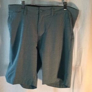 Burnside Men’s Short light green short pants